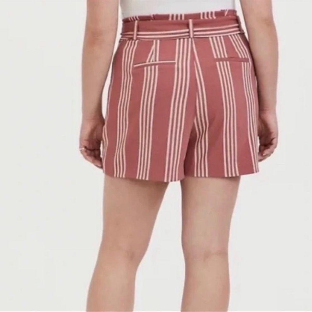 Torrid Shorts - Picture 4 of 4